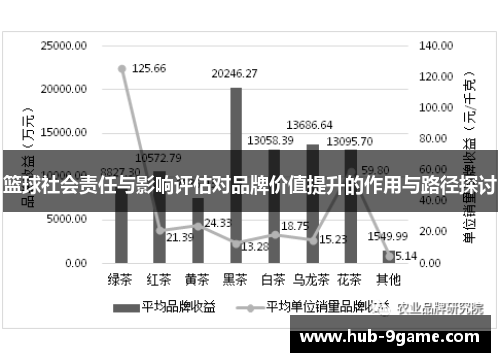 篮球社会责任与影响评估对品牌价值提升的作用与路径探讨 篮球社会责任与影响评估对品牌价值提升的作用与路径探讨