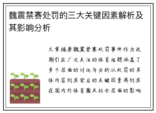 魏震禁赛处罚的三大关键因素解析及其影响分析 魏震禁赛处罚的三大关键因素解析及其影响分析