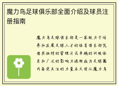魔力鸟足球俱乐部全面介绍及球员注册指南
